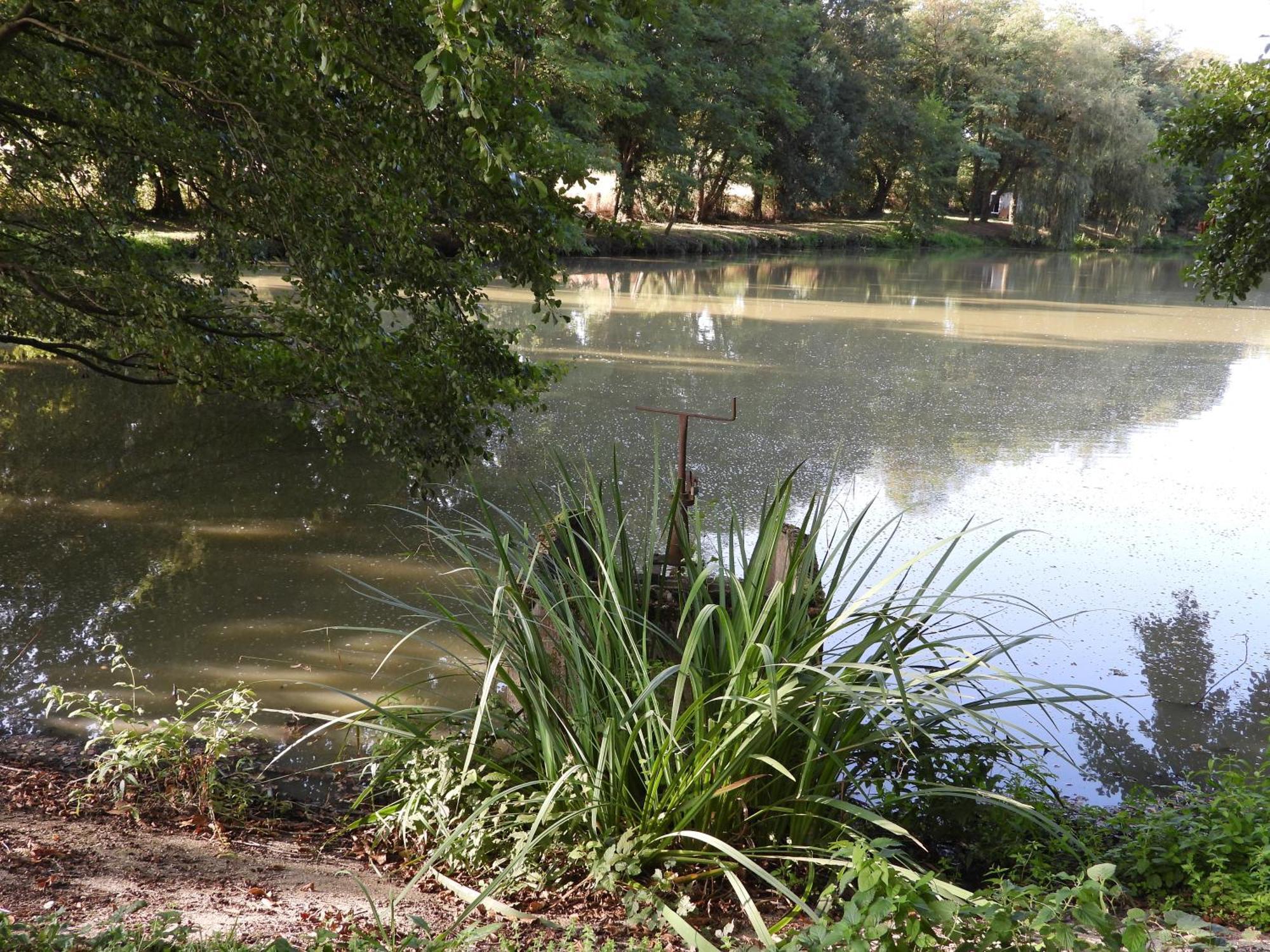 Le Hameau De La Closerie Flere-la-Riviere Buitenkant foto