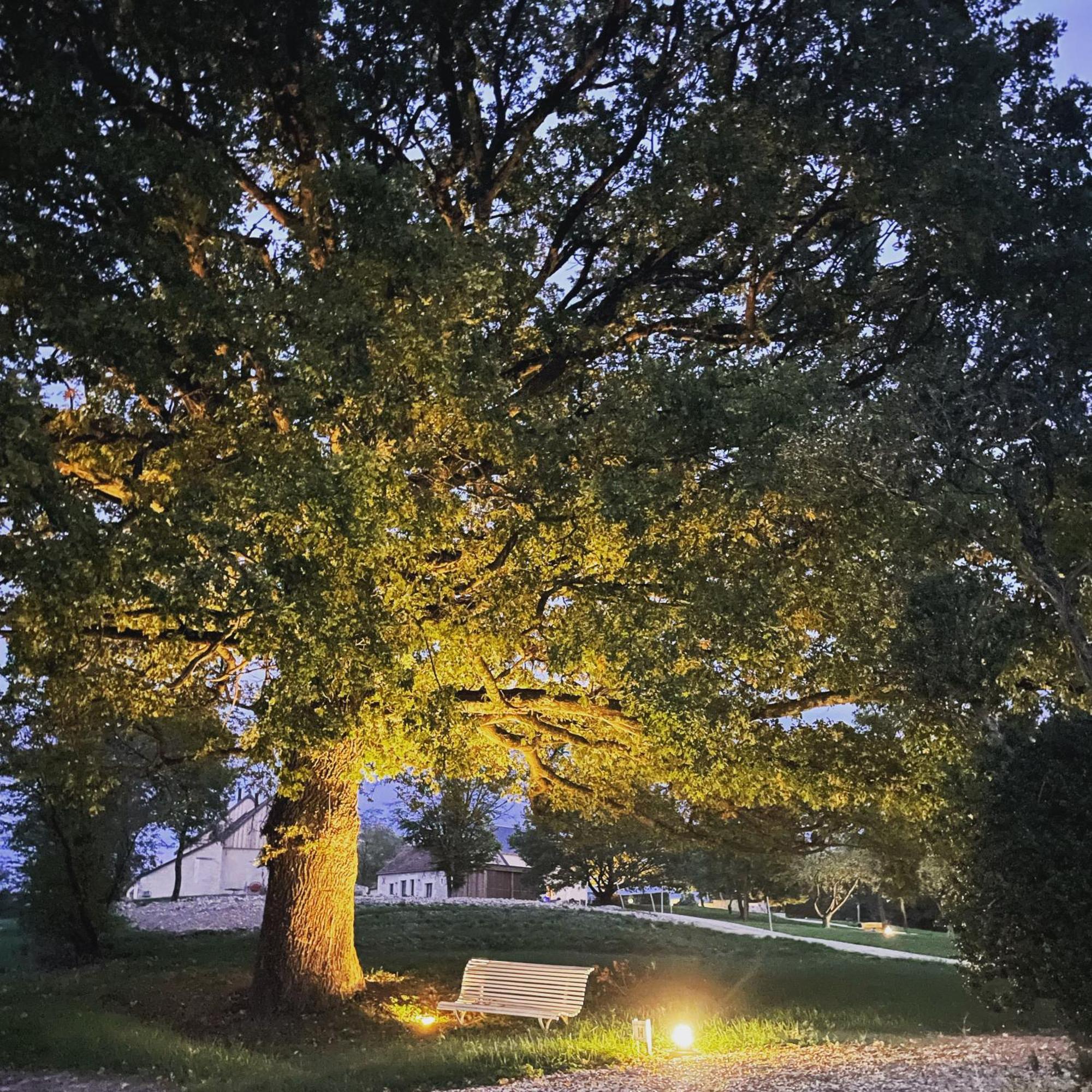 Le Hameau De La Closerie Flere-la-Riviere Buitenkant foto